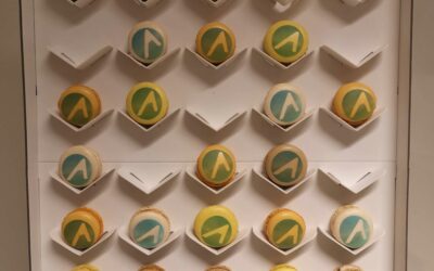 Nagykorú lett az APPLiA Magyarország